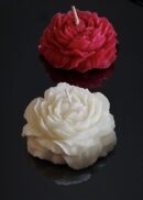 Pony flower candle 
