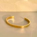 Stainless Steel Luxury Zirconic Bangle