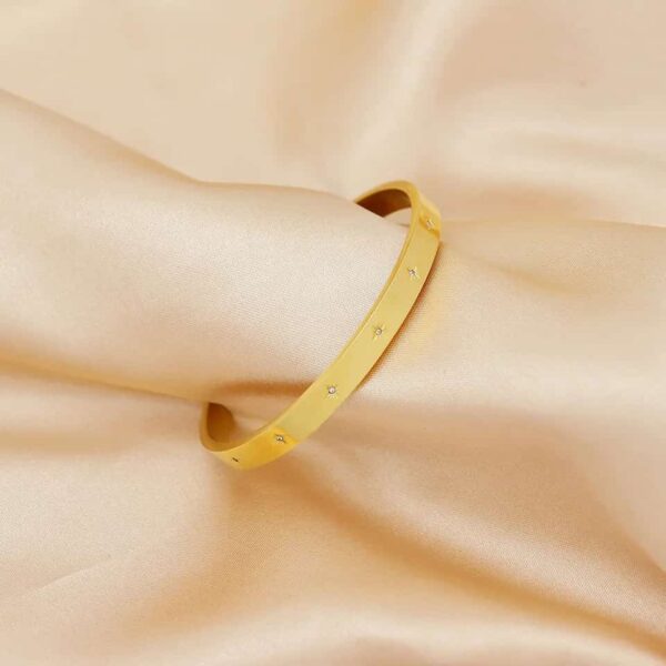 Stainless Steel Luxury Zirconic Bangle - Image 4