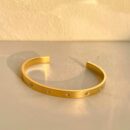 Stainless Steel Luxury Zirconic Bangle